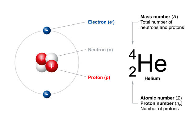 illustrations, cliparts, dessins animés et icônes de numéro atomique et nombre massique d’atomes ordinaires, en utilisant l’hélium comme exemple - neutron