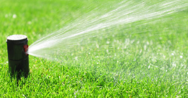 istock Garden irrigation system lawn. Automatic lawn sprinkler watering green grass. Selective focus. 1411794370
