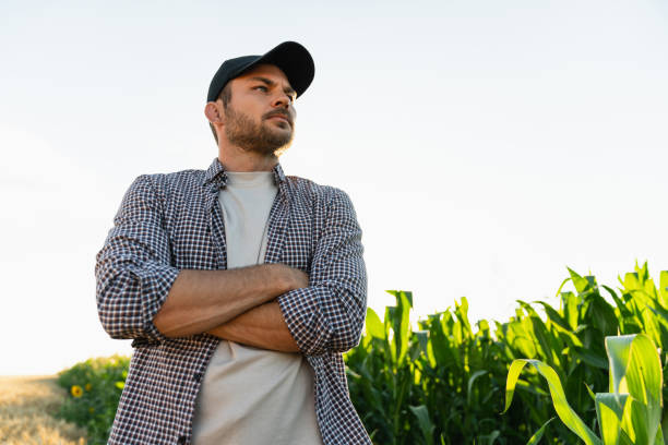 Bearded farmer in a cap and a plaid shirt Bearded farmer in a cap and a plaid shirt against the background of a corn field man beard plaid shirt stock pictures, royalty-free photos & images