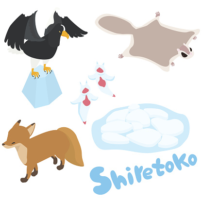 Illustration set of animals living near Shiretoko in Hokkaido