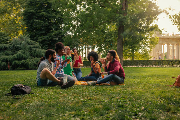 istock Friends having picnic in park 1411795761