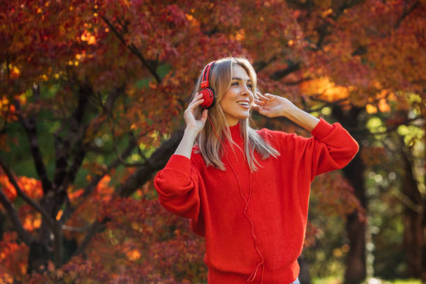 Bright colors of autumn