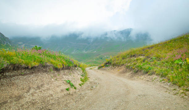 Ground road in nature. Armenia. Summer stock photo