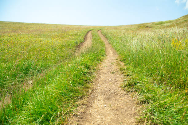 istock Ground road in nature. Armenia. Summer 1411801077
