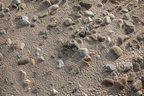 Looking down on pebbles in the sand in diffused sunlight creates a soft natural background with a beach theme.