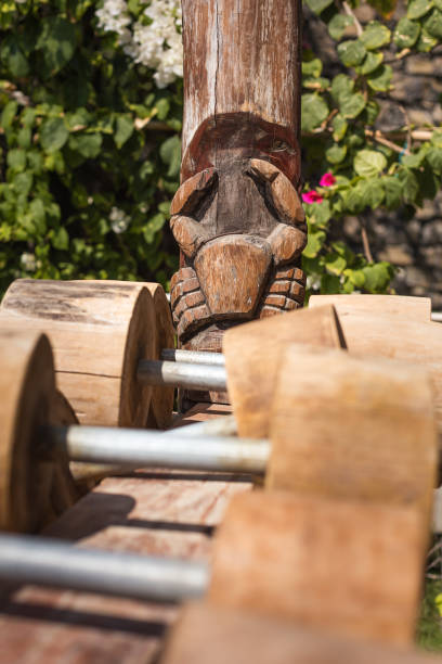 istock Outdoor nature gym 1411802628
