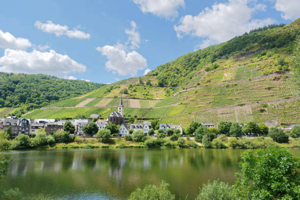 istock The village Bremm at the Moselle river 1411802788