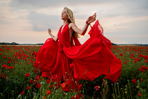 Beautiful elegant blonde fantasy teenage fantasy princess alone wearing a luxury dress outdoors in a field of poppies on a sunny evening