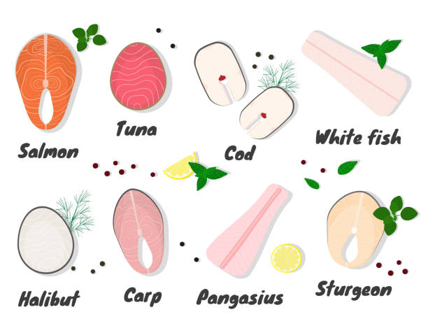 ilustrações, clipart, desenhos animados e ícones de bifes de peixe cru. - fillet