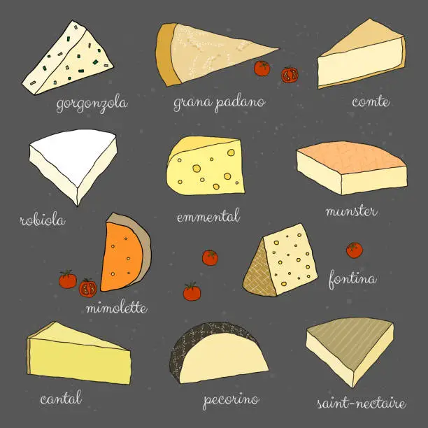 Vector illustration of Hand drawn cheese set.