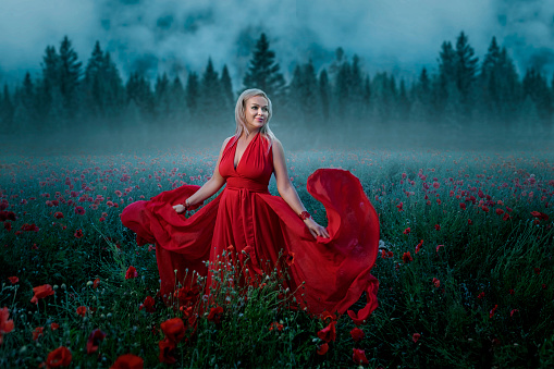 Beautiful elegant blonde fantasy queen alone wearing a luxury dress outdoors in a field of poppies on a sunny evening