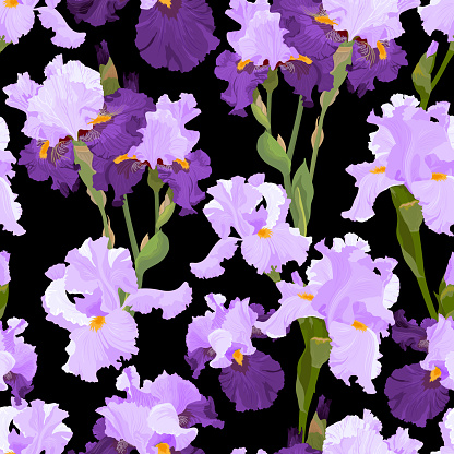 Seamless pattern with blooming irises close-up in lilac-violet tones on a black background