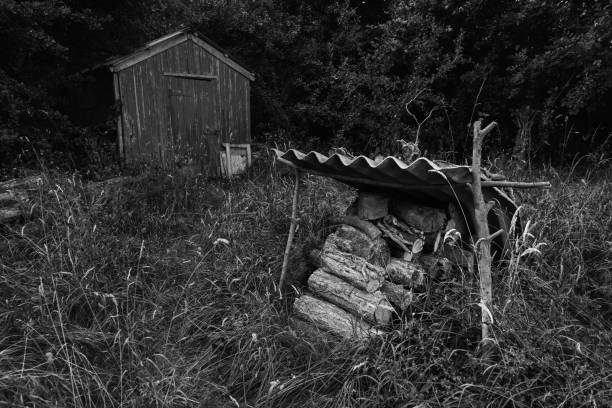istock Wild paddock with shed and log pile mono. 1411805327