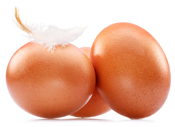 istock Brown chicken eggs with chicken feather isolated on white background. 1411811144