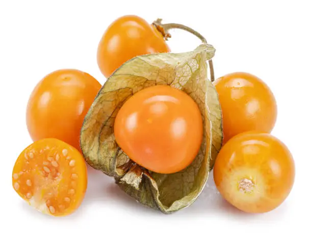 Photo of Ripe physalis or golden berry fruits in calyx isolated on white background.