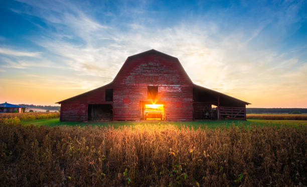 Rural Farm Sunset Old Red Barn