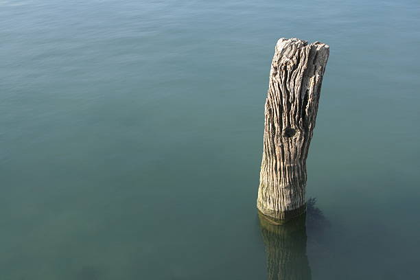 Mooring post in tranquil water. stock photo