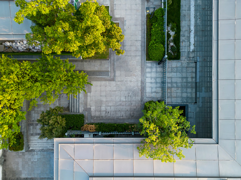 tree in patio of modern building from drone perspective