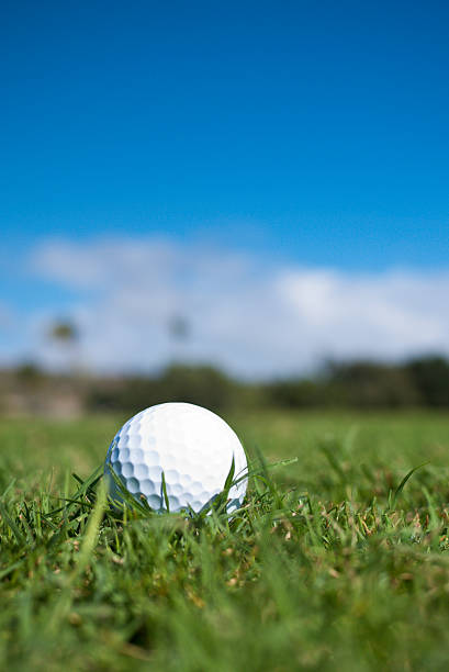 istock Golf ball in the rough 141182005