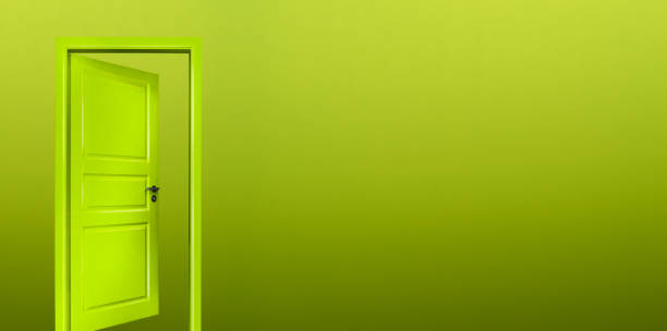 istock Green door with green background 1411820100