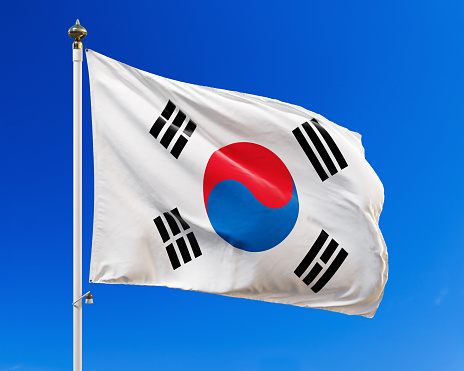 Top view Flag of South Korea