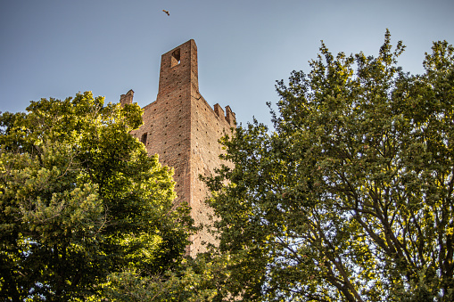 The tower Dona ( torre Dona ) in the city Rovigo against the blue sky. Italy.