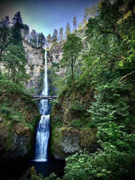 istock multnomah falls is a waterfall located in the great columbia river gorge - oregon. 1411825719