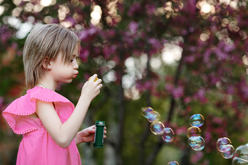 Child girl in pink dress blows soap bubbles in nature against background of flowering tree