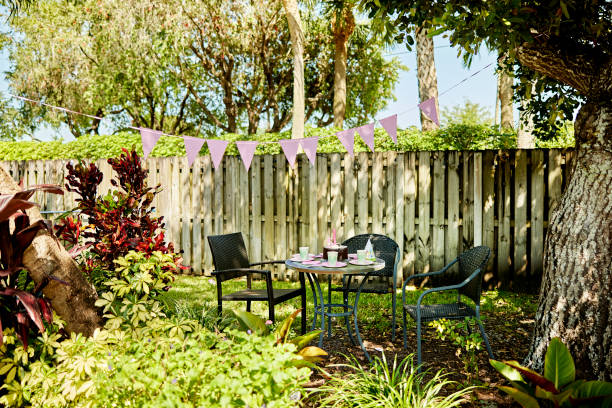 istock Sunny back yard location for child’s birthday party 1411828626