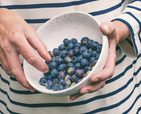 Close up of a woman holding a bowl of freshly harvested blueberries.