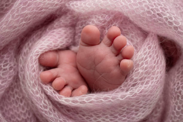 Knitted pink heart in the legs of a baby. Soft feet of a new born in a pink wool blanket. Close-up of toes, heels and feet of a newborn. Macro photography the tiny foot of a newborn baby. corazón rosa tejido en las piernas de un bebé. pies suaves de un recién nacido en una manta de lana rosa. primer plano de los dedos de los pies, los talones y los pies de un recién nacido. fotografía macro el diminuto pie de un bebé recién nacido.