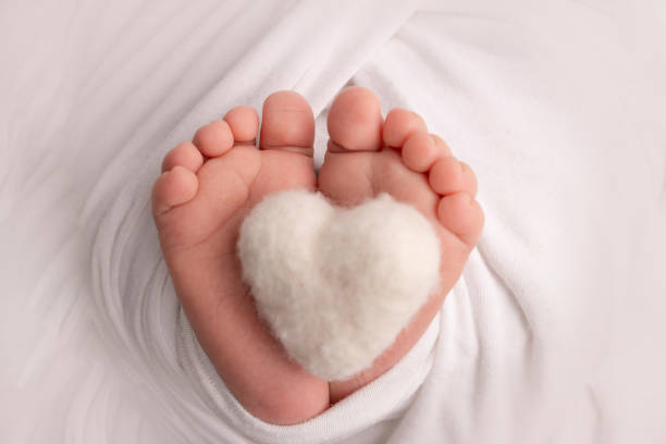 Knitted white heart in the legs of a baby. Soft feet of a new born in a white wool blanket. Close-up of toes, heels and feet of a newborn. Macro photography the tiny foot of a newborn baby. corazón blanco de punto en las piernas de un bebé. pies suaves de un recién nacido en una manta de lana blanca. primer plano de los dedos de los pies, los talones y los pies de un recién nacido. fotografía macro el diminuto pie de un bebé recién nac