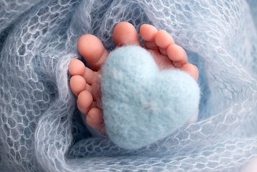 Knitted blue heart in the legs of a baby. Soft feet of a new born in a blue wool blanket. Close-up of toes, heels and feet of a newborn. Macro photography the tiny foot of a newborn baby.