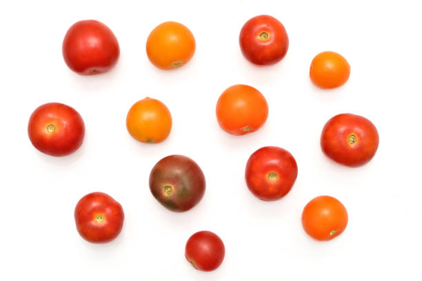 différentes variétés, couleurs et tailles de tomates cerises isolées sur fond blanc - heirloom cherry tomato photos et images de collection