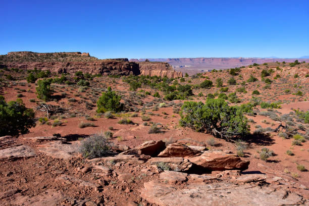 istock Canyonlands National Park, Utah 1411837674