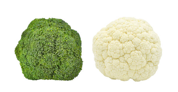 Broccoli and cauliflower isolated on white