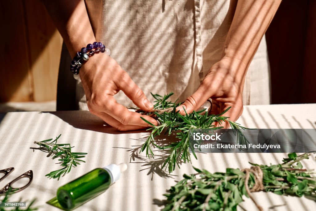 Alternative medicine. Women's hands tie a bunch of rosemary. Woman herbalist preparing fresh fragrant organic herbs for natural herbal treatments. Herbal Medicine Stock Photo