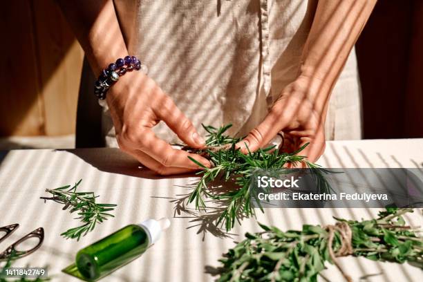 Alternative Medicine Womens Hands Tie A Bunch Of Rosemary Woman Herbalist Preparing Fresh Fragrant Organic Herbs For Natural Herbal Treatments Stock Photo - Download Image Now