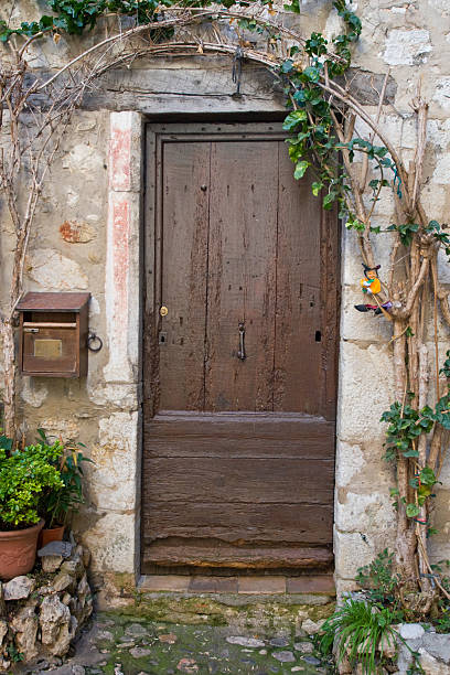 Old Brown Door stock photo