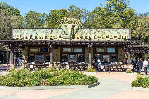 Bay Lake, Florida, USA- February  9, 2022: The entrance to Animal Kingdom in Orlando, Florida, USA. Animal Kingdom Theme Park is a zoological theme park at the Walt Disney World Resort.
