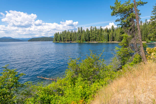 250개 이상의 아이다호 팬핸들 스톡 사진, 그림 및 Royalty-Free 이미지 - iStock 250개 이상의 아이다호 팬핸들 스톡 사진, 그림 및 Royalty-Free 이미지 - Istock