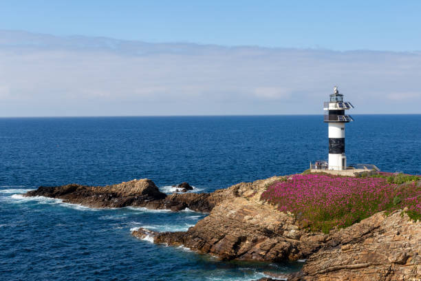 latarnia morska otoczona pięknymi kwiatami - pacific ocean coastline rain california zdjęcia i obrazy z banku zdjęć