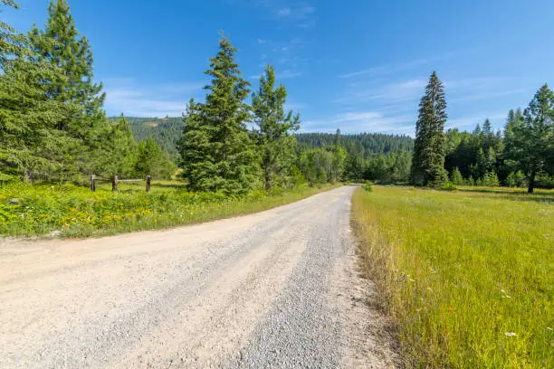 Photo of A gravel road in the North Idaho mountains in the rural town of Spirit Lake, Idaho.