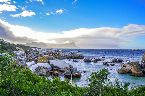 Rocky boulder's beach is a turqoise and sheltered beach and a famous tourist destination in cape town South Africa