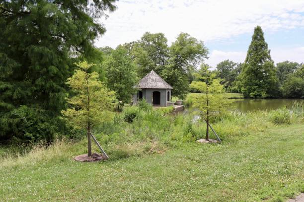 istock Gazebo at the Lake 1411851170