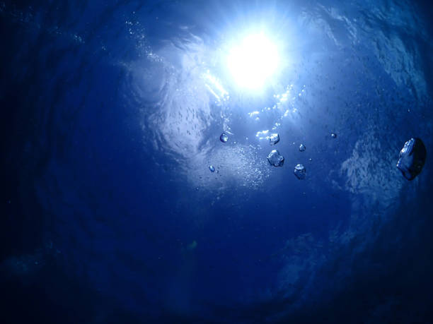 Ishigaki Island diving ・ Overlooking the sea surface from the seabed