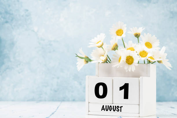 istock cube calendar for August with daisy flowers over blue 1411853980