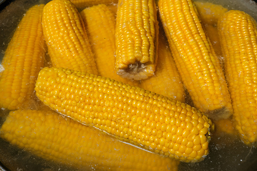 Sweet young yellow boiled corn on a summer picnic close-up