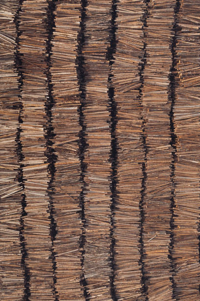 Large amounts of logs in stacks and rows.