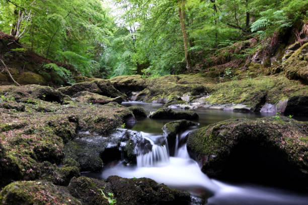 istock Rumbling Bridge Gorge Perth and Kinross Waterfall Scotland 1411856365